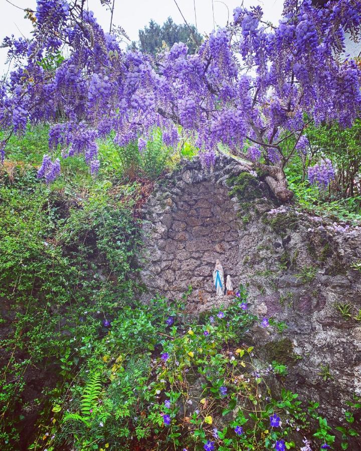 La Mansarda Di Casa Vacanze La Vite Bordogna 外观 照片