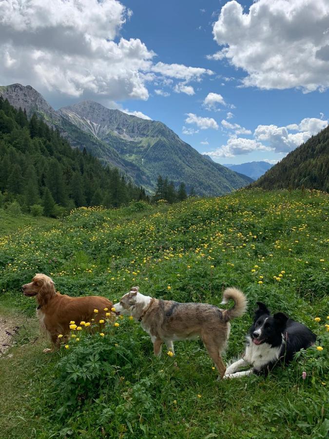 La Mansarda Di Casa Vacanze La Vite Bordogna 外观 照片