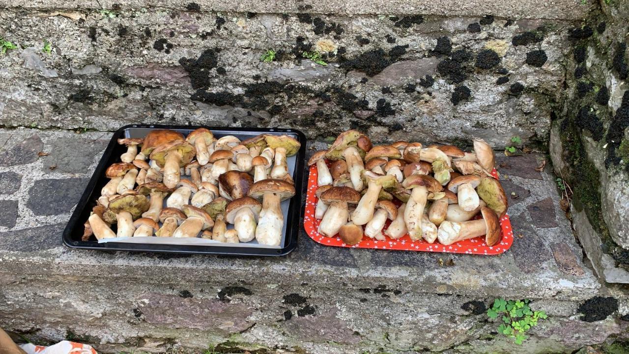 La Mansarda Di Casa Vacanze La Vite Bordogna 外观 照片